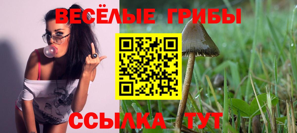 Галлюциногенные грибы Psilocybe  Вход с VPN  Ишим 